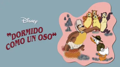 Dormido como un oso