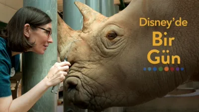 Disney’de Bir Gün