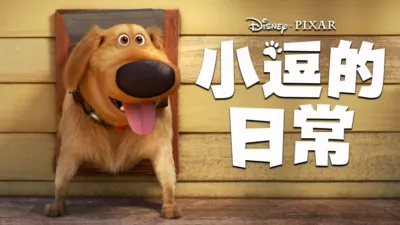 小逗的日常