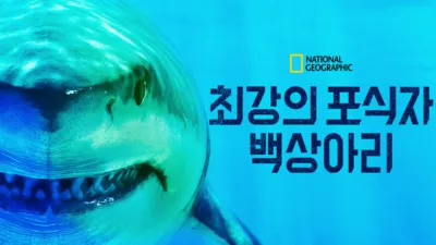 최강의 포식자, 백상아리