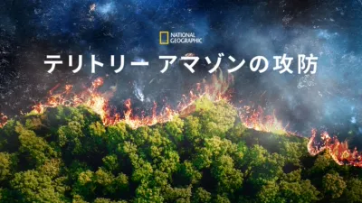 テリトリー アマゾンの攻防