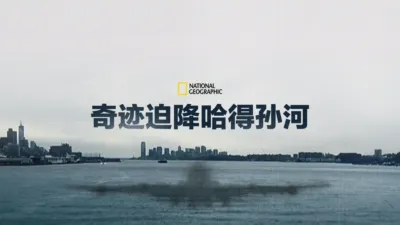 奇迹迫降哈得孙河