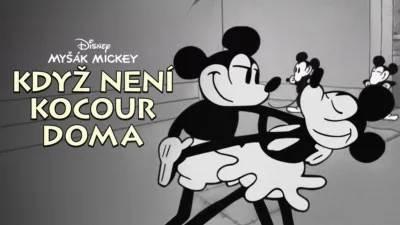 Když není kocour doma