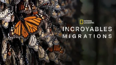 Incroyables migrations