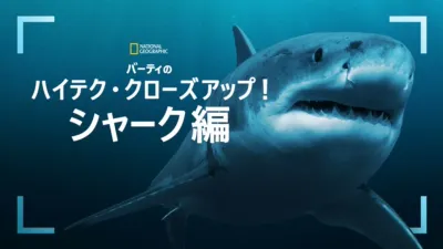 バーティのハイテク・クローズアップ！シャーク編