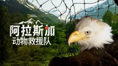 阿拉斯加动物救援队