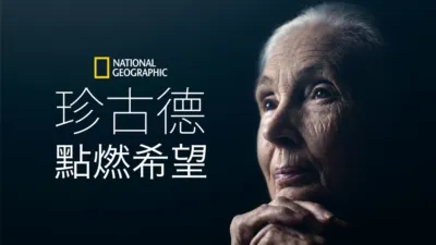 珍古德：點燃希望