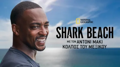 Shark Beach with Anthony Mackie: Gulf Coast