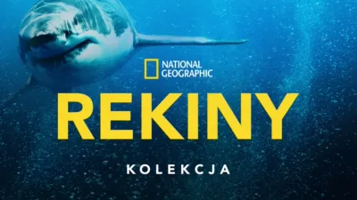 National Geographic – Rekiny