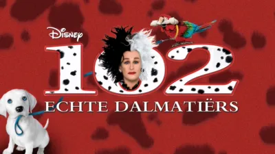 102 Echte dalmatiërs