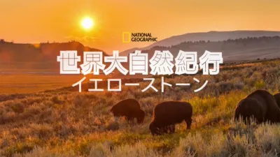 世界大自然紀行：イエローストーン