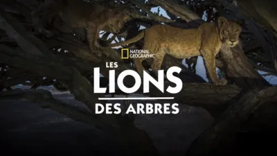 Les lions des arbres