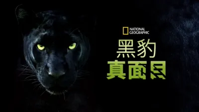 黑豹真面目