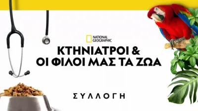 Κτηνίατροι και οι φίλοι μας τα ζώα