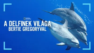 A delfinek világa Bertie Gregoryval