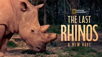 The Last Rhinos: A New Hope