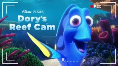 Dory's Reef Cam