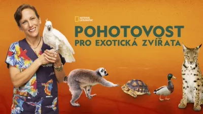 Pohotovost pro exotická zvířata