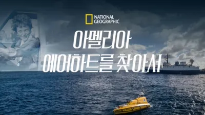 아멜리아 에어하트를 찾아서