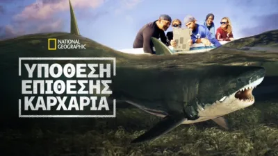 Φάκελος: Επιθέσεις Καρχαριών