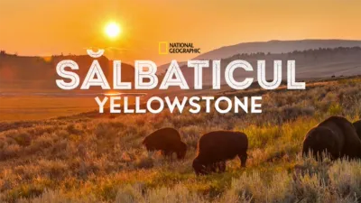 Sălbaticul Yellowstone