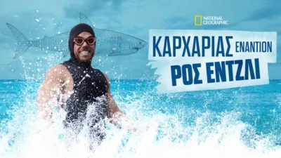 Καρχαρίας Εναντίον Ρος Έντζλι