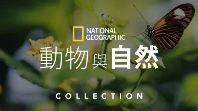 國家地理動物與自然