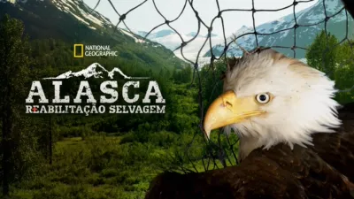 Alasca: Reabilitação Selvagem