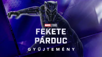 Fekete Párduc