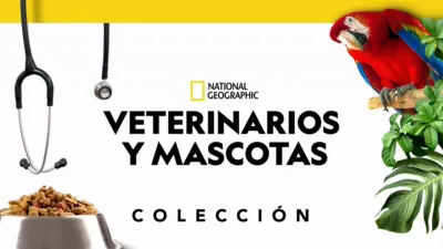 Veterinarios y mascotas