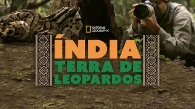 Índia: Terra de Leopardos