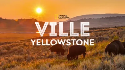 Ville Yellowstone
