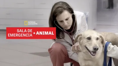 Sala de Emergencia Animal