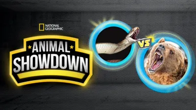Animal Showdown