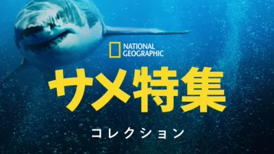 ナショナル ジオグラフィック：サメ特集