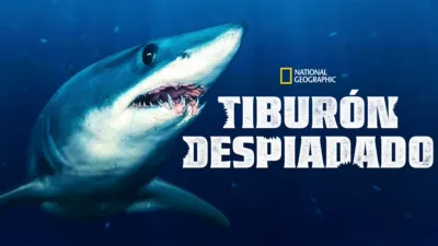 Tiburón despiadado