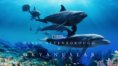 David Attenborough ile Okyanuslar