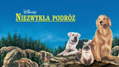Niezwykła podróż