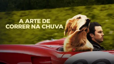 A Arte de Correr na Chuva