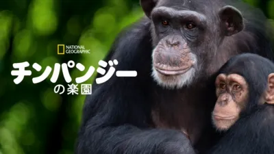 チンパンジーの楽園