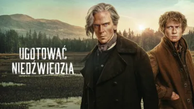 Ugotować niedźwiedzia