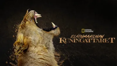 Eläinmaailman kuningattaret