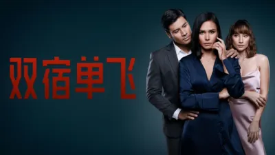 双宿单飞
