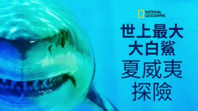 世上最大大白鯊：夏威夷探險