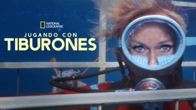 Jugando con tiburones