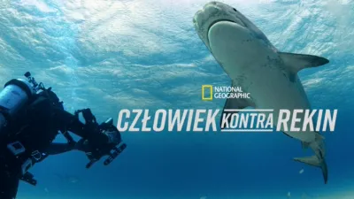 Człowiek kontra rekin