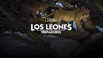 Los leones trepadores