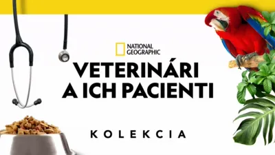 Veterinári a ich pacienti 