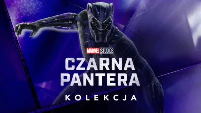 Czarna pantera