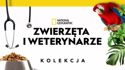 Zwierzęta i weterynarze